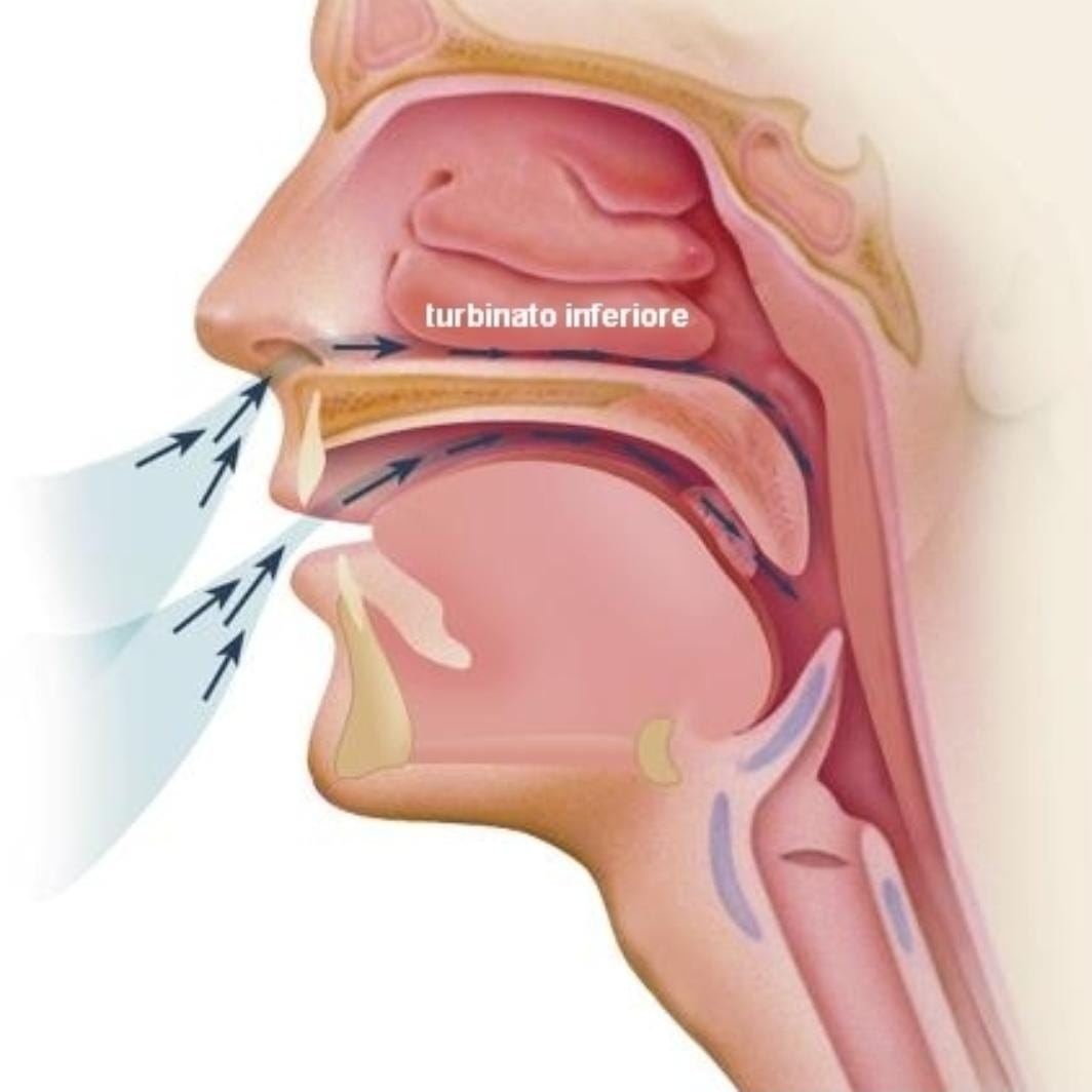 Через нос ртом делайте. Слизистая оболочка носоглотки. Слизистая оболочка верхних дыхательных путей. Слизистые оболочки носоглотки.